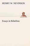 Essays in Rebellion