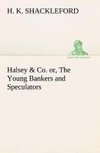 Halsey & Co. or, The Young Bankers and Speculators