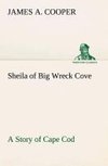 Sheila of Big Wreck Cove A Story of Cape Cod