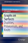 Graphs on Surfaces