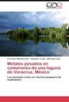 Metales pesados en camarones de una laguna de Veracruz, México