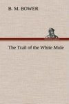 The Trail of the White Mule