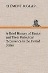 A Brief History of Panics and Their Periodical Occurrence in the United States