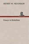 Essays in Rebellion