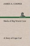 Sheila of Big Wreck Cove A Story of Cape Cod