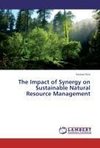 The Impact of Synergy on Sustainable Natural Resource Management