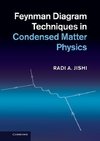 Feynman Diagram Techniques in Condensed Matter Physics