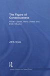 Kress, J: The Figure of Consciousness