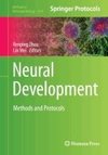 Neural Development