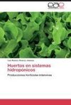 Huertos en sistemas hidropónicos