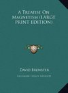 A Treatise On Magnetism (LARGE PRINT EDITION)