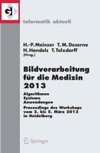 Bildverarbeitung für die Medizin 2013