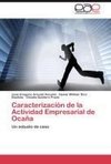 Caracterización de la Actividad Empresarial de Ocaña