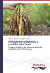 Bilingüismo: problemas y posibles soluciones