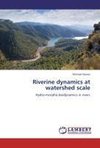 Riverine dynamics at watershed scale