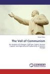 The Veil of Communism