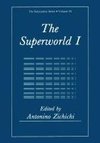 The Superworld I