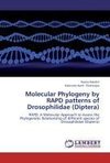 Molecular Phylogeny by RAPD patterns of Drosophilidae (Diptera)