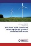 Advanced nano composite cation exchange material and chemical sensor