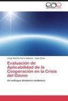 Evaluación de Aplicabilidad de la Cooperación en la Crisis del Ozono