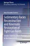 Sedimentary Facies Reconstruction and Kinematic Restoration of Tight Gas Fields