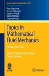 Topics in Mathematical Fluid Mechanics