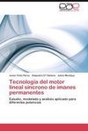 Tecnología del motor lineal síncrono de imanes permanentes