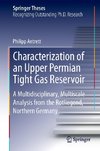 Characterization of an Upper Permian Tight Gas Reservoir