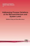 Addressing Process Variations at the Microarchitecture and System Level