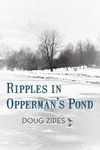 Ripples in Opperman's Pond