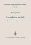 Schizophrene Verläufe