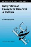 Integration of Ecosystem Theories: A Pattern