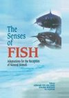 The Senses of Fish