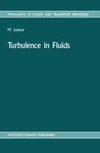 Turbulence in Fluids