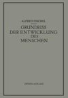 Grundriss der Entwicklung des Menschen