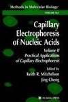 Capillary Electrophoresis of Nucleic Acids