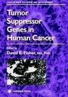 Tumor Suppressor Genes in Human Cancer