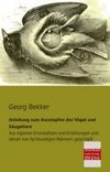 Anleitung zum Ausstopfen der Vögel und Säugetiere