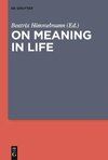 On Meaning in Life