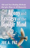 The Agony and Ecstasy of the Bipolar Mind