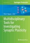 Multidisciplinary Tools for Investigating Synaptic Plasticity