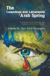 The Calamitous and Lamentable 'Arab Spring