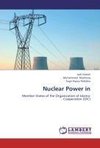 Nuclear Power in