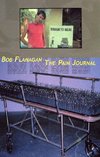 Flanagan, B: Pain Journal