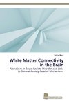 White Matter Connectivity in the Brain