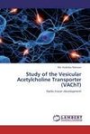 Study of the Vesicular Acetylcholine Transporter (VAChT)