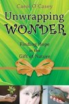 Unwrapping Wonder