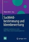 Suchfeldbestimmung und Ideenbewertung