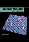 Quantum Transport