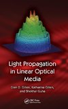 Light Propagation in Linear Optical Media